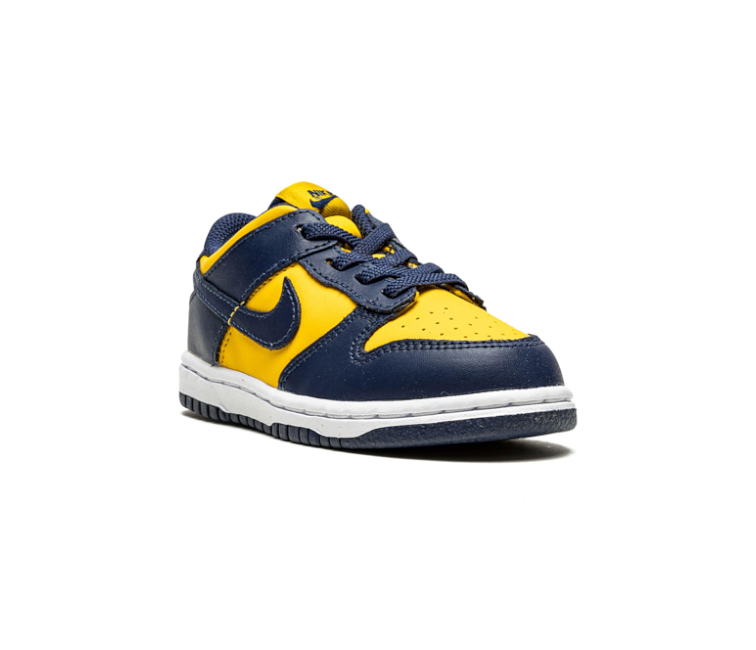 nike dunk lows michigan