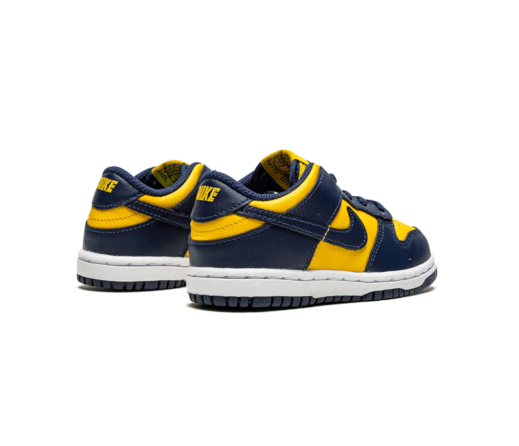 michigan nike sb dunk
