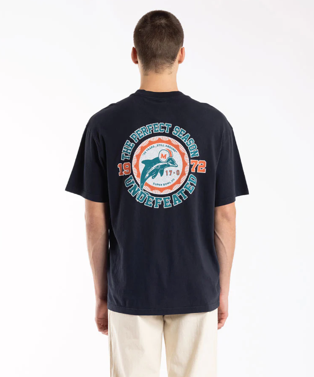 Miami dolphins undefeated shirt sale