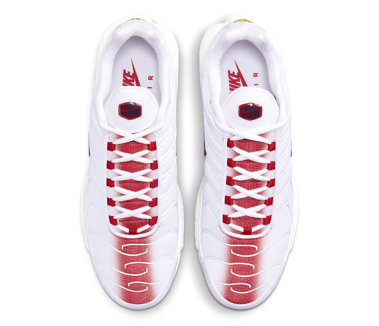 Men's Nike Air Max Plus TN (Bloodshot) – ShoeGrab