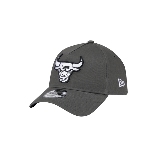 New Era Chicago Bulls 9Forty Snapback (Dusty Charcoal)