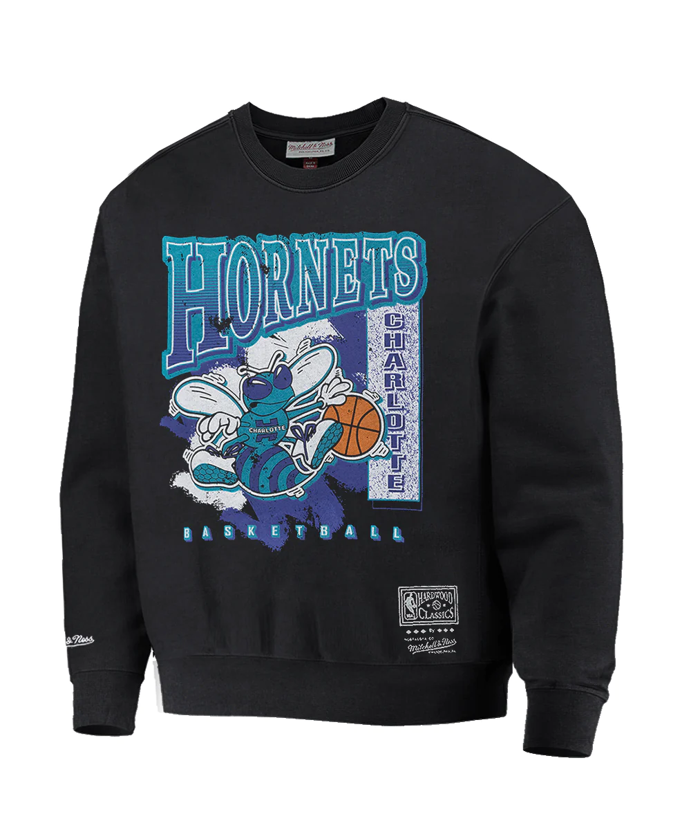 Charlotte hornets 2025 vintage sweatshirt