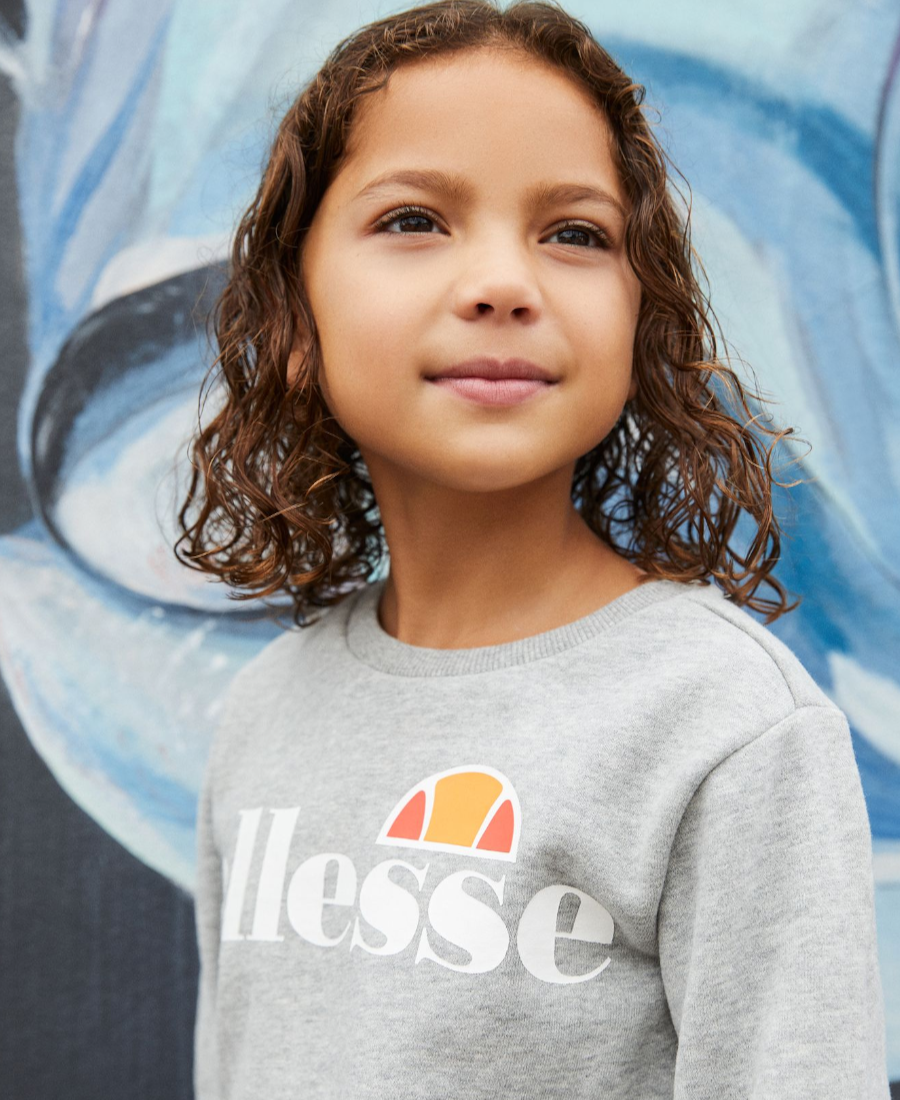 Grey 2025 ellesse jumper
